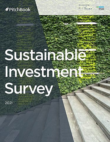 Sustainable Investment Survey